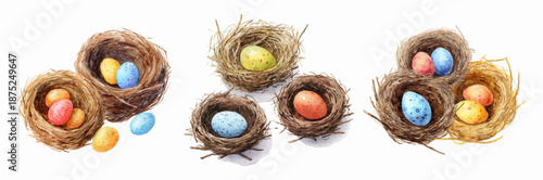 Easter nest collection featuring painted eggs and cheerful hens. Cute watercolor bird illustrations with spring blooms. Ideal for festive egg hunt designs. Vector illustration.