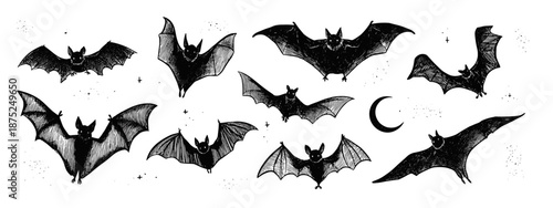 set of black silhouettes of bats vector illustration 