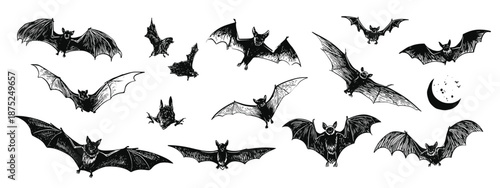 set of black silhouettes of bats vector illustration 