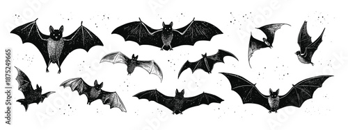 set of black silhouettes of bats vector illustration 
