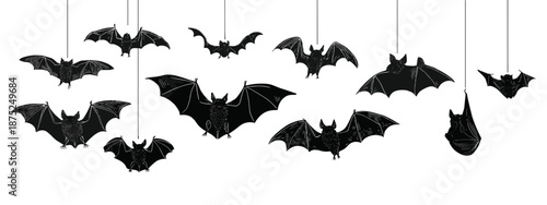 set of black silhouettes of bats vector illustration 