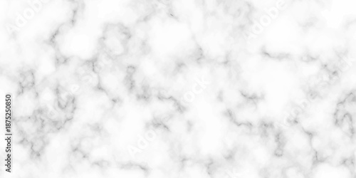 White and black Stone ceramic art wall interiors backdrop design. abstract light elegant black for do floor ceramic counter texture stone slab smooth tile gray silver natural for interior decoration.