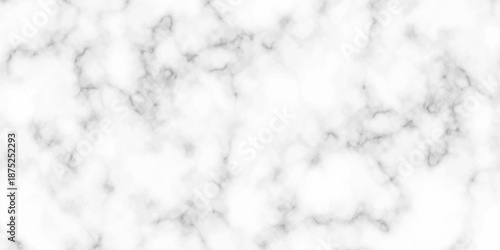 White and black Stone ceramic art wall interiors backdrop design. abstract light elegant black for do floor ceramic counter texture stone slab smooth tile gray silver natural for interior decoration.