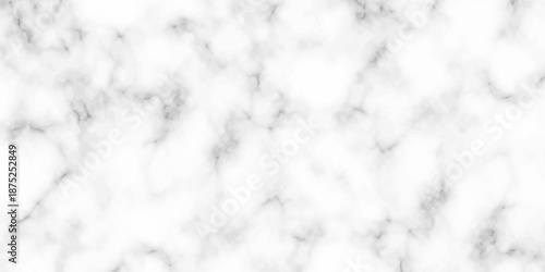 White and black Stone ceramic art wall interiors backdrop design. abstract light elegant black for do floor ceramic counter texture stone slab smooth tile gray silver natural for interior decoration.