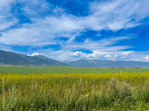 Wallpaper Mural Scenic Landscape Photography of a Vibrant Green Meadow with Mountains and Blue Sky Torontodigital.ca