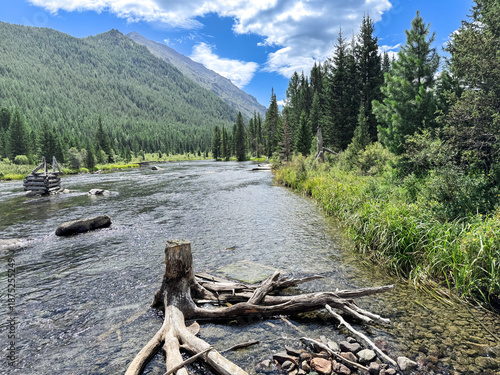 Wallpaper Mural Scenic River Landscape with Pine Forest and Mountains in Summer Torontodigital.ca