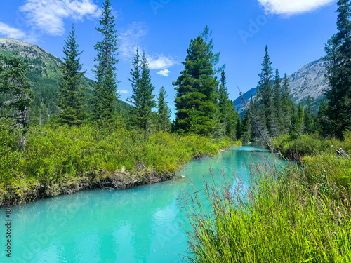 Wallpaper Mural Tranquil Mountain Stream Surrounded by Lush Greenery in a Remote Natural Landscape Torontodigital.ca