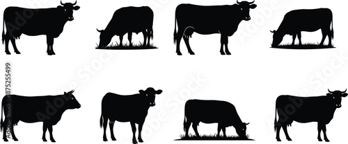Cow silhouette set of farm cattle standing and grazing isolated on white background livestock agriculture animal illustration collection