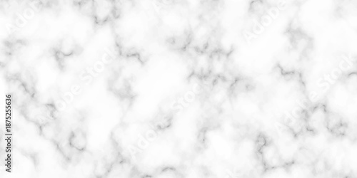 White and black Stone ceramic art wall interiors backdrop design. abstract light elegant black for do floor ceramic counter texture stone slab smooth tile gray silver natural for interior decoration.