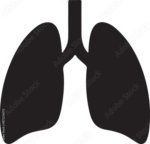 Human lung anatomy respiratory system health icon. Simple Lung Icon for Healthcare.