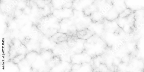 White and black Stone ceramic art wall interiors backdrop design. abstract light elegant black for do floor ceramic counter texture stone slab smooth tile gray silver natural for interior decoration.