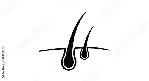 Medical icon showing a cross section of skin with two hair follicles growing from their roots in a black silhouette style.