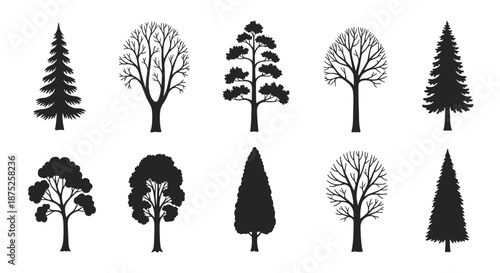 Variety of tree silhouettes including conifers, broadleaf trees, and leafless winter trees for landscape and nature designs.
