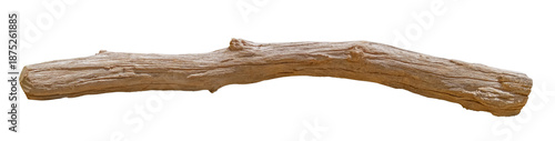 Broken tree branches with detached bark. Rustic wood branch. Weathered driftwood log and rustic broken tree branches