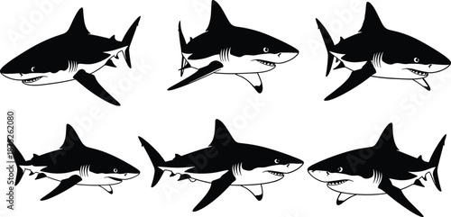 Shark illustration set, black and white great white shark drawings, aggressive marine predator collection, ocean wildlife vector design elements