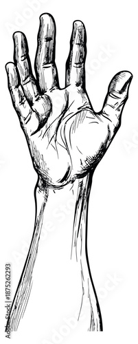 Hand drawn line art illustration of a human hand depicting an open reaching gesture for connection
