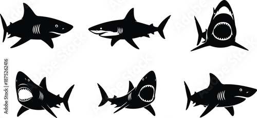 Shark silhouette set, aggressive great white shark poses, open mouth predator collection, ocean wildlife icons, dangerous marine vector illustration design