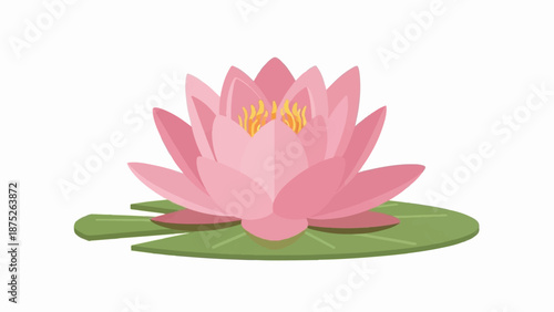 A single pink lotus flower with a green lily pad on a white background