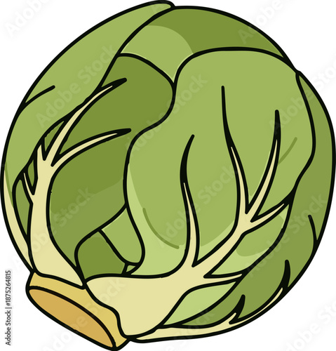 A stylized cartoon illustration of a single green Brussels sprout with a thick stem and layered leaves