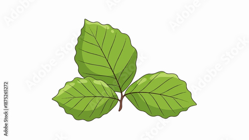 A stylized illustration of three bright green leaves with serrated edges on a simple stem
