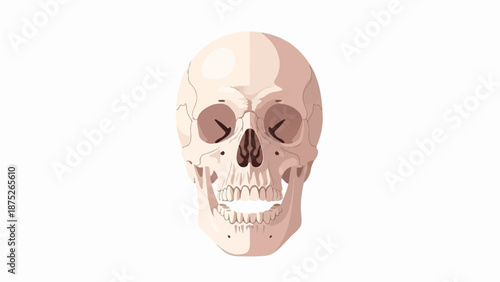 A stylized, pale human skull faces forward with an open mouth showing teeth and empty eye sockets