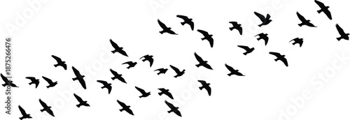 Flying birds silhouette flock in sky, freedom concept, migration, wildlife, nature background, minimal design, movement, harmony, travel, illustration