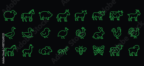 Farm animals line icon set. Vector pictograms of domestic goose, turkey, chick, duckling, duck, sheep, horse, pig, donkey, ox, thin linear illustration.