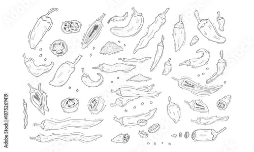 set of chili illustration in doodle style