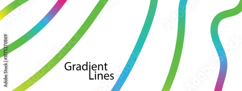 Collection colorful bold curved lines with loops isolated on white. Hand drawn bold grunge wavy and swirled brush strokes. abstract background with colorful lines