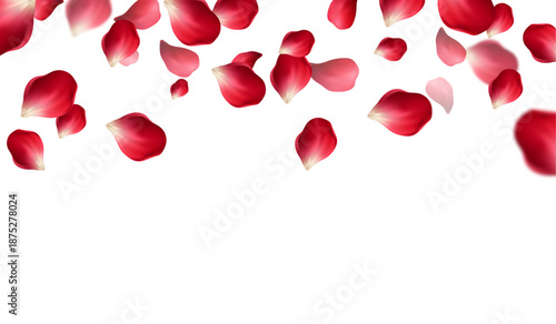Falling Rose Petals Background