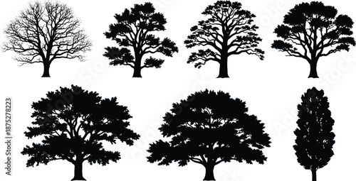 Tree silhouette collection featuring winter branches and dense foliage shapes, ideal for nature illustrations, landscape artwork, forest design elements and botanical vector projects