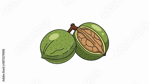 Two green, bumpy nuts on a branch, one split open to reveal its textured interior