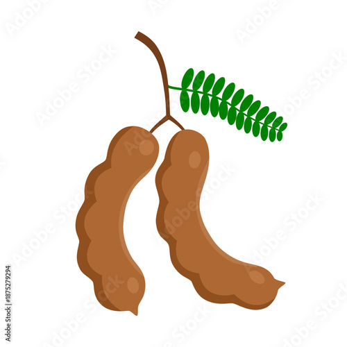 Sweet tamarind. A healthy fruit that is high in fiber. Help the digestive system for vegetarians