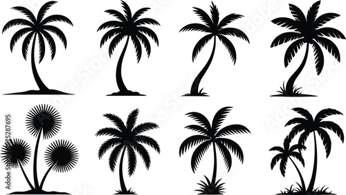 Tropical Palm Tree Silhouette Collection