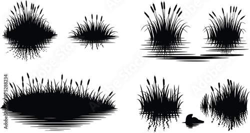 Wetland Reeds Swamp Grass Silhouette