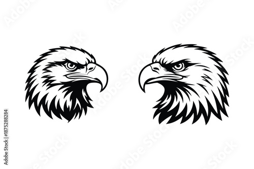 Two Black and White Eagle Heads Facing Each Other Profile