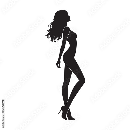 Elegant Woman Silhouette Side View
Female Silhouette Walking Profile
Fashion Model Silhouette Side Pose
