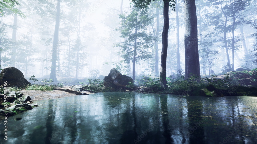 Fototapeta premium In a serene forest, a calm stream reflects the dense greenery and towering trees. The mist adds a magical touch to this peaceful natural scene, inviting exploration and relaxation.