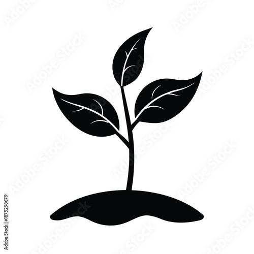 Plant Sprout In Soil