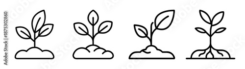 Growing plants vector illustration, seedling and sprouts in soil, gardening and agriculture icon set
