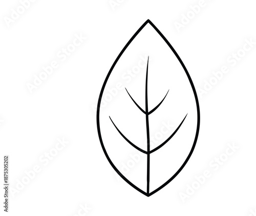Simple green leaf icon symbolizing nature, freshness, and sustainability. Clean lines and minimal design make it ideal for eco, organic, and environmental themes.
