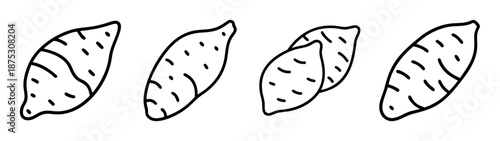 Sweet potato yam vector drawing illustration, healthy food, root vegetable, outline art design