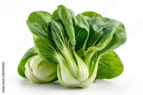 Fresh, crisp bok choy (Shanghai greens) isolated on white background, showcasing its green leaves, white stems, and natural texture for healthy food concept.