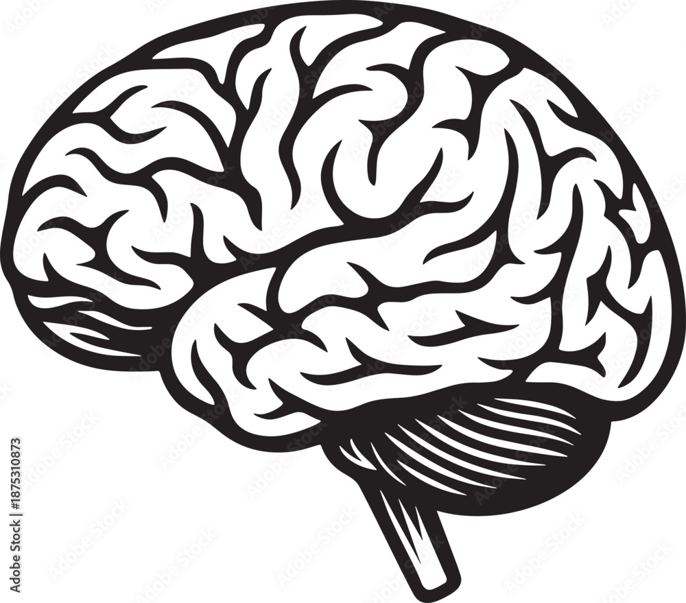 Fototapeta premium Stylized Human Brain Vector Icon - Black Outline Drawing on White