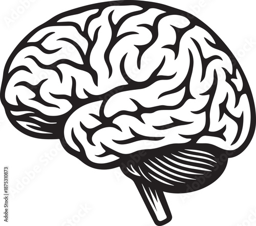 Stylized Human Brain Vector Icon - Black Outline Drawing on White