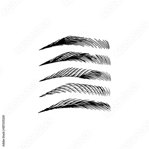Different eyebrow shapes and styles