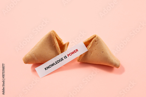 fortune cookie with sayings