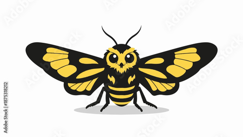 Black and yellow owl-faced moth with patterned wings and antennae