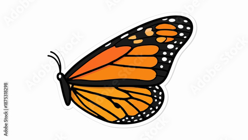 An orange and black monarch butterfly wing shown in profile