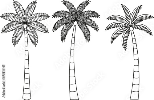 Hand-drawn palm tree illustration vector set featuring tropical leaves, textured trunks, and detailed island botanical elements